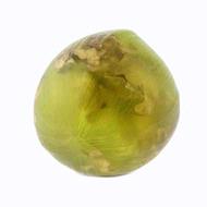 Aniseed & gold
